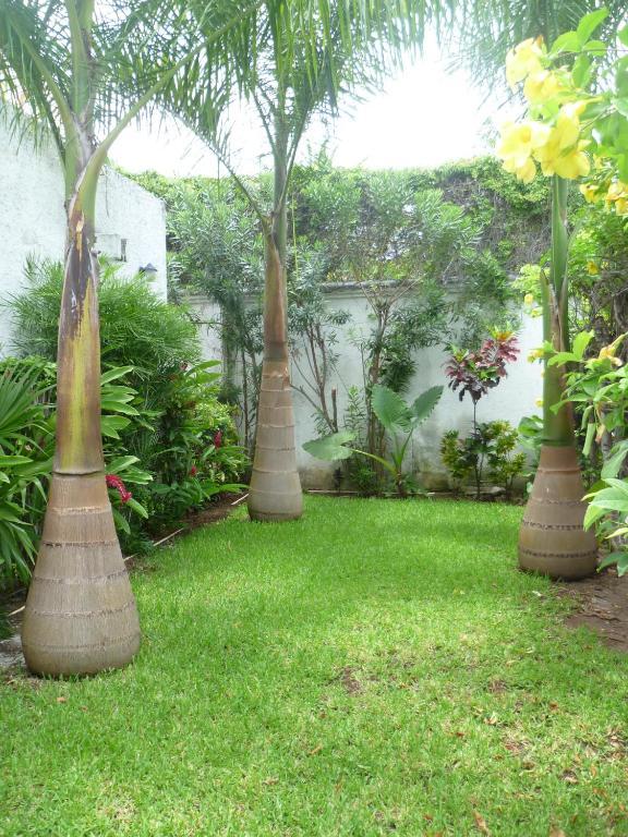 Hostal Haina Cancun Bagian luar foto