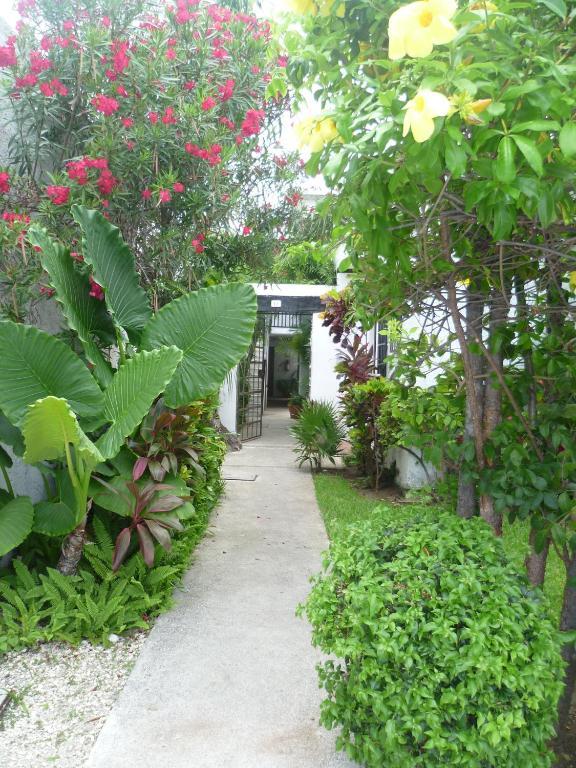Hostal Haina Cancun Bagian luar foto