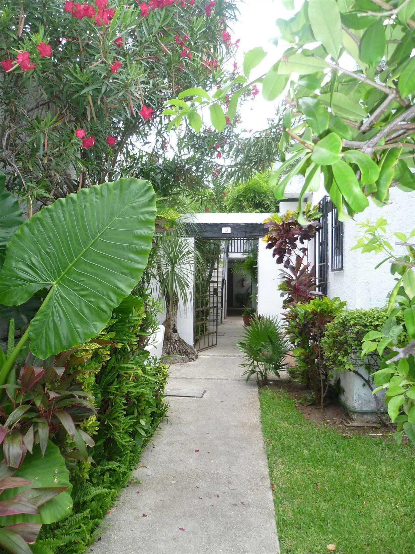 Hostal Haina Cancun Bagian luar foto