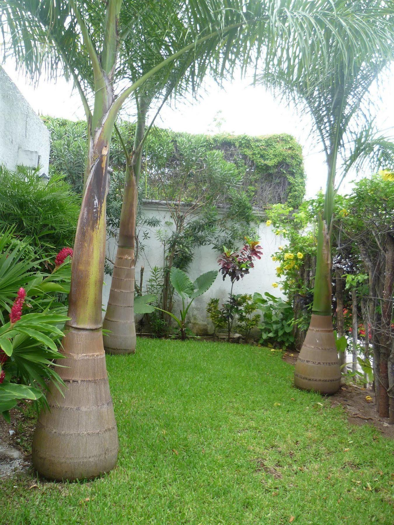 Hostal Haina Cancun Bagian luar foto