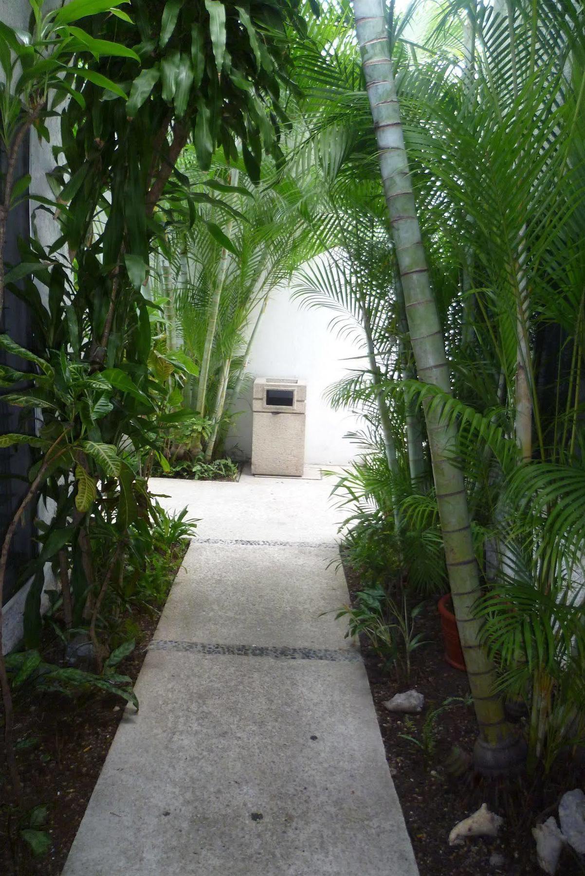 Hostal Haina Cancun Bagian luar foto